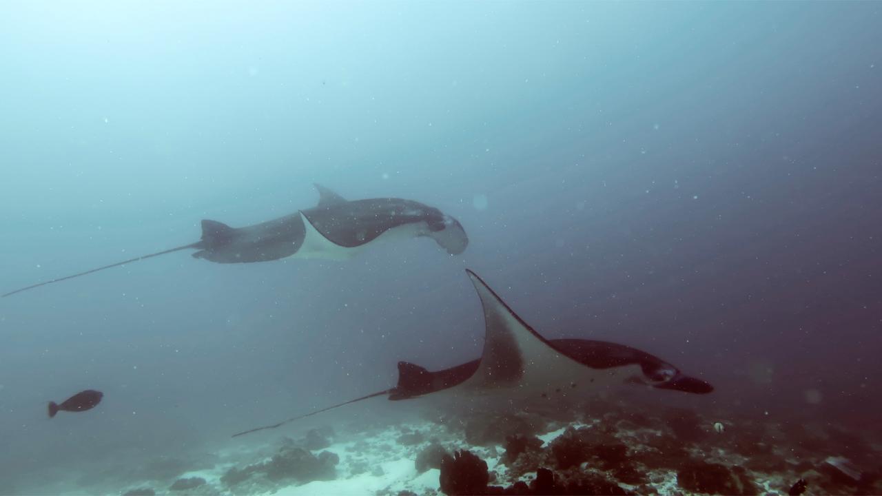 Absolute Scuba Bali Dive Resort Padangbai  Εξωτερικό φωτογραφία